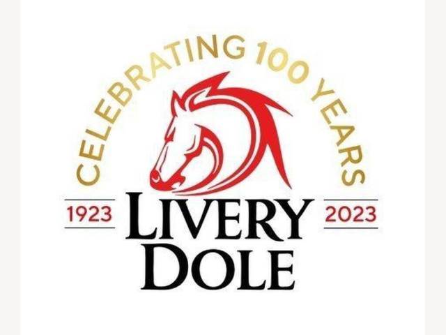 Subaru XV 2.0D SE 5dr Hatchback Diesel WHITE