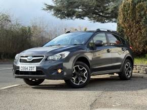 SUBARU XV at Subaru UVL Coleshill